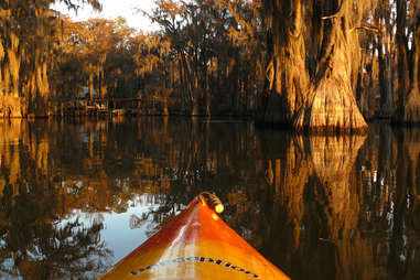 Kayaking Caddo lake Texas