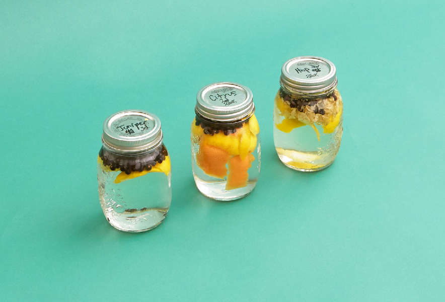 How Do You Make Gin at Home? Supercall Thrillist