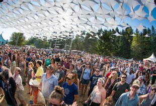 The Kinds of People You'll See at All of Portland's Music Festivals