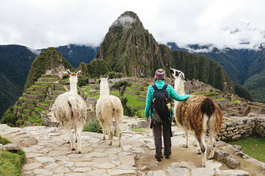 female traveling looking at Machu Picchu