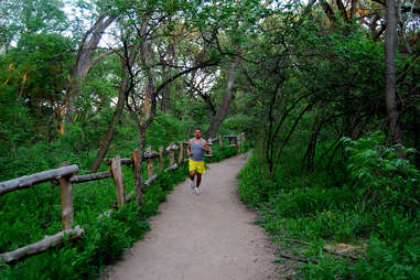 Zilker Park 