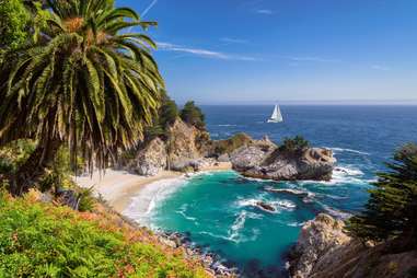 an ocean cove surrounded by large, grassy cliffs and palm trees