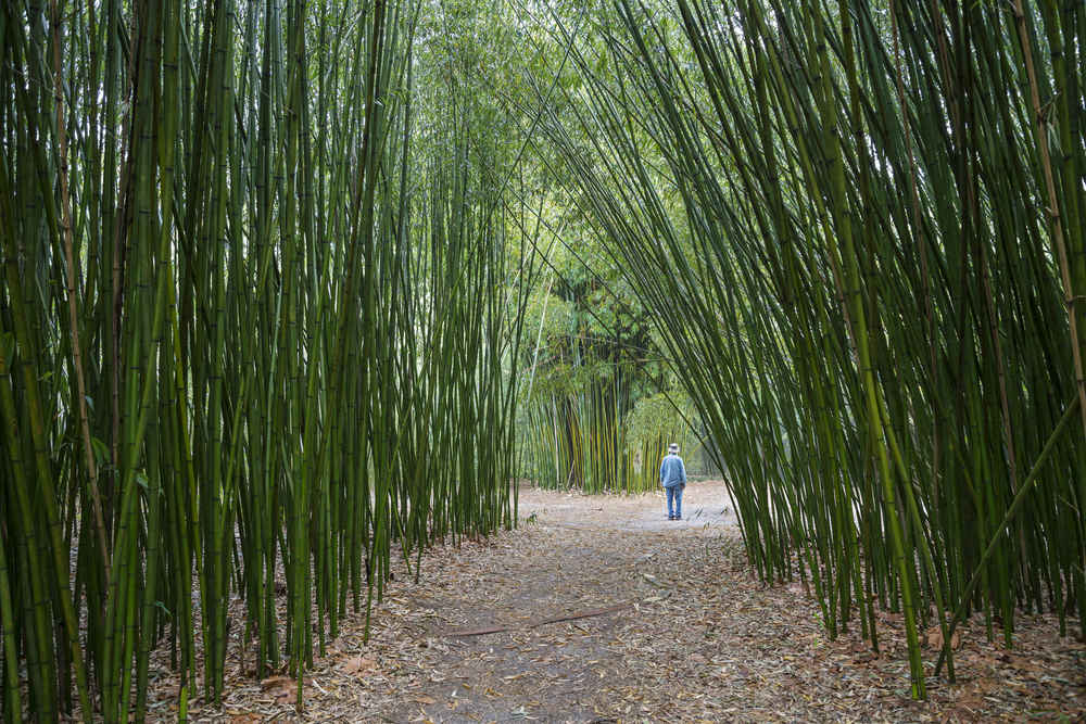 America S 15 Top Botanical Gardens Thrillist