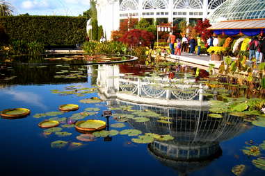 people walking by a lily pond and conservatory in a botanical garden