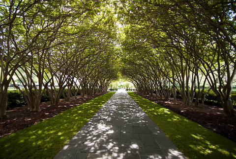Best Botanical Gardens In The Us The Huntington Brookgreen Best Botanical Gardens In The Us The Huntington Brookgreen