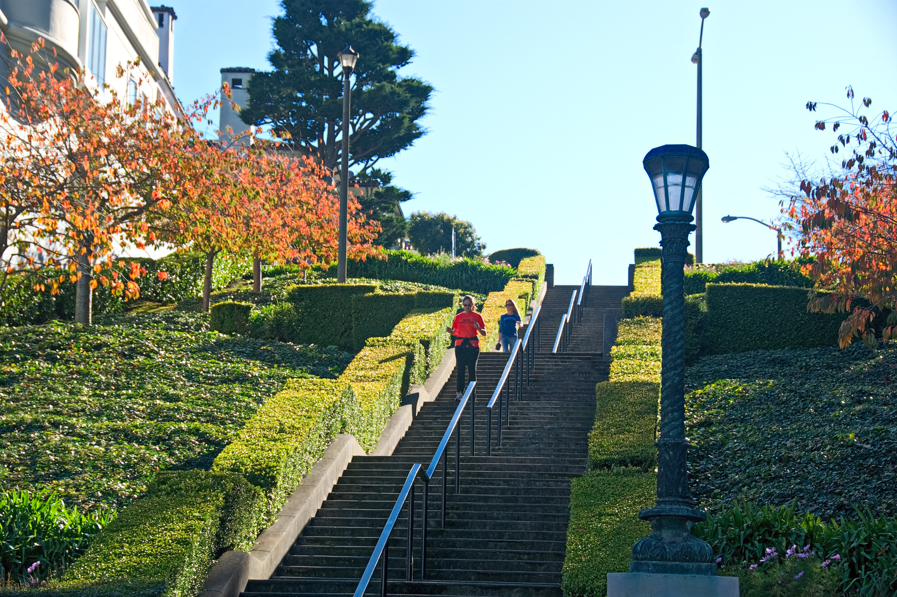 Lyons Street Steps