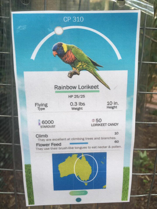 Pokemon Go Zoo
