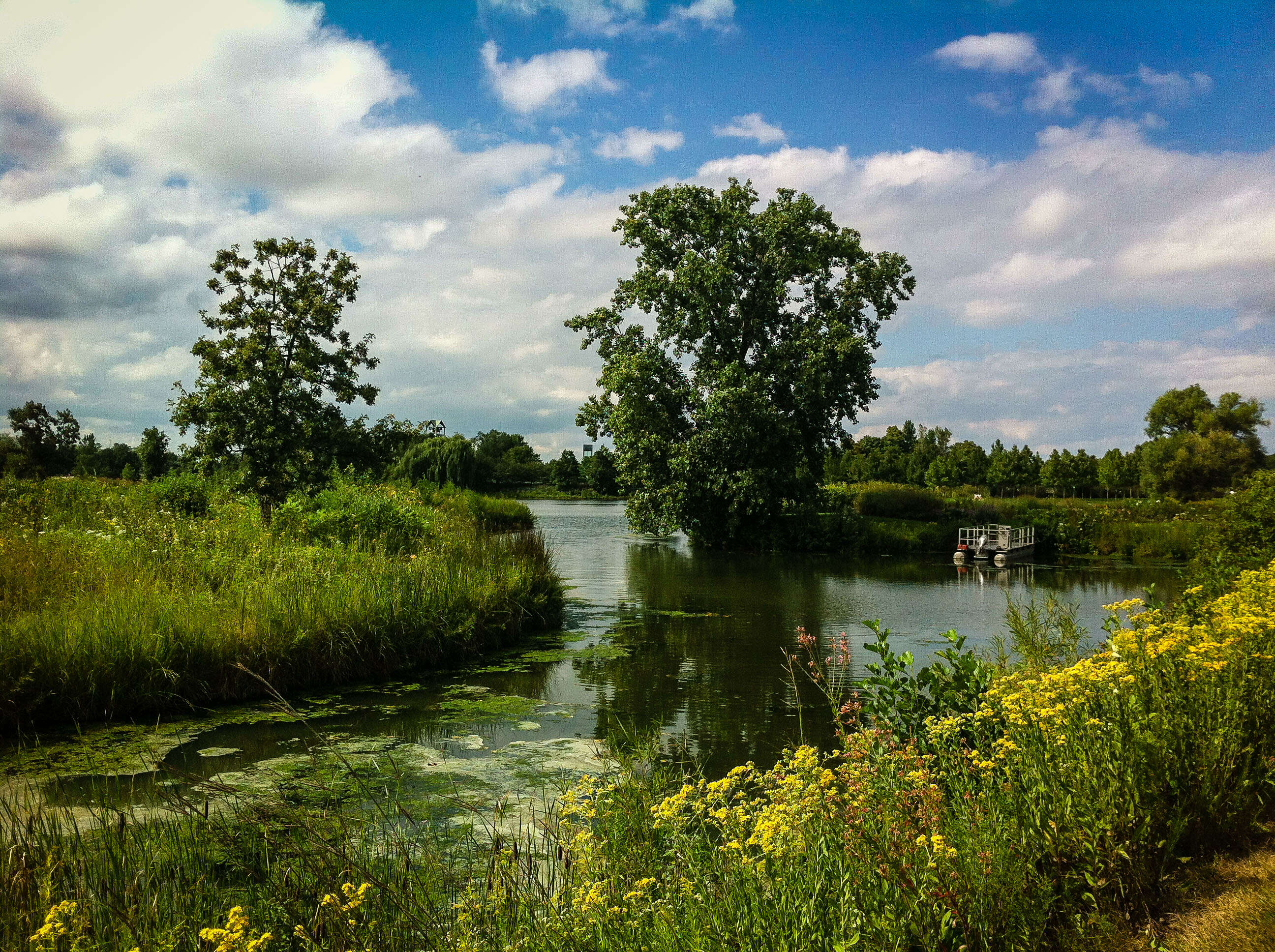 skokie lagoon