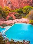 lake havasu