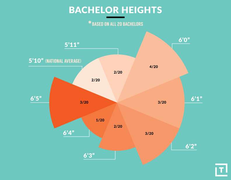 bachelor heights