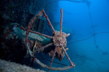 Hilma Hooker Bonaire