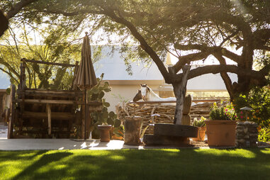 Horses in stable Arizona