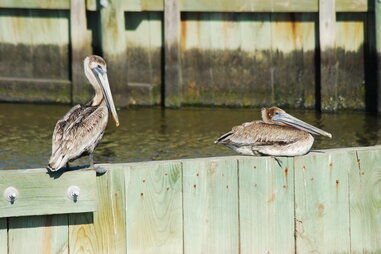 Mississippi Gulf Coast