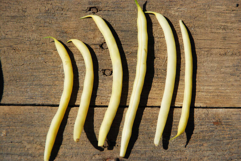 yellow wax beans