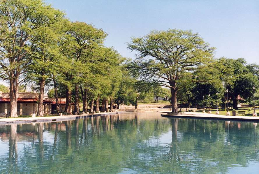 San Pedro Springs Park Pool Is the Best Swimming Pool in San Antonio