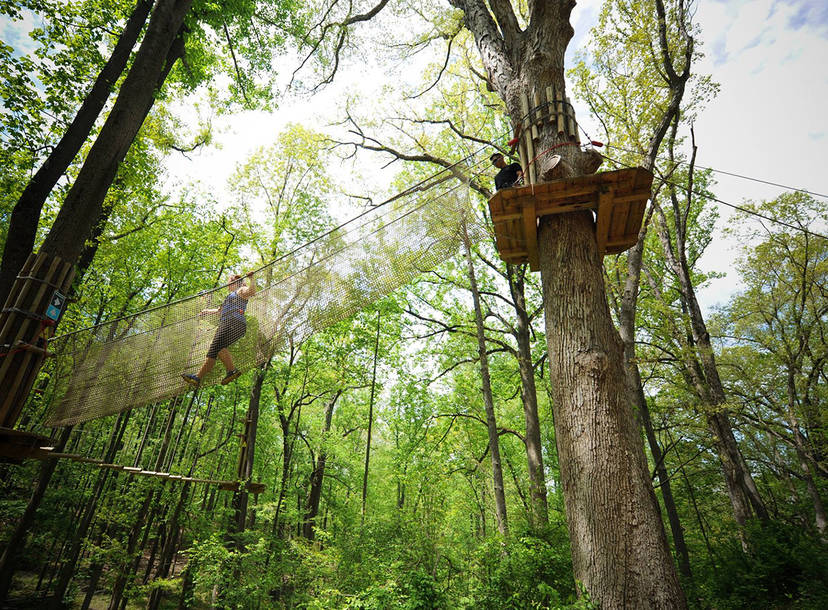 Bemis Woods A Western Springs Il Thrillist