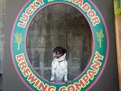Lucky Labrador Brewing Company Portland