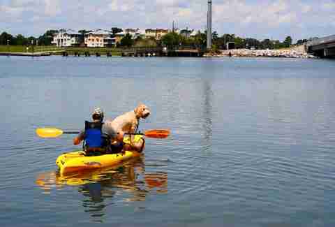 Best Beaches Watersports Amp Water Activities In Charleston
