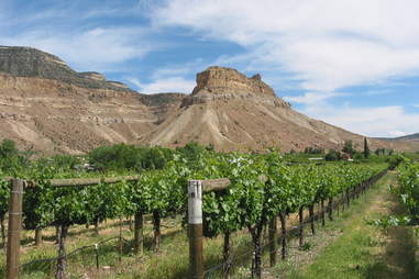 Summer Vacation Planning Things To Do In Palisade Co Thrillist