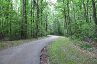 memphis running path