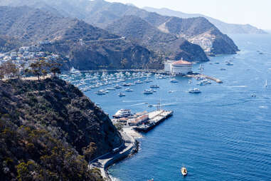 Catalina Island