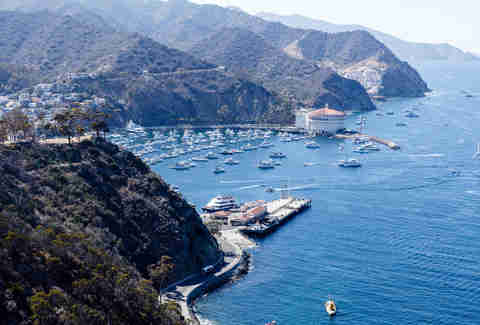 Every California Island Vacation Visiting Catalina