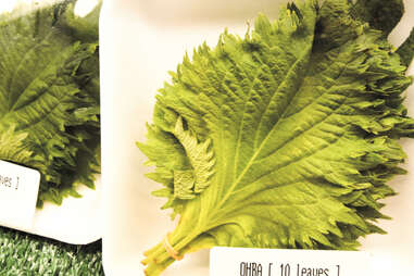 Shiso