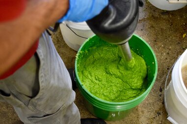 Avocado puree