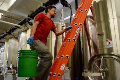 avocado beer fermentation