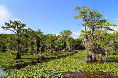 Most Beautiful Places In Texas To Visit Underrated Spots To Explore Thrillist