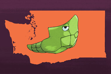 state pokemon Metapod washington