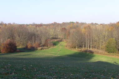 Cherokee Park