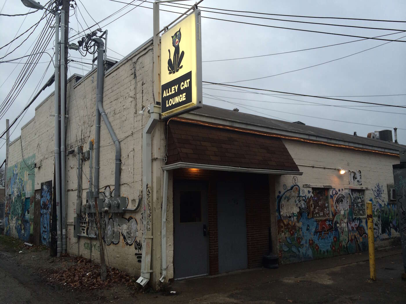 Alley Cat Lounge Front Room