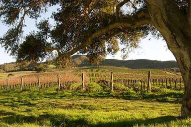 Lompoc Wine Trail