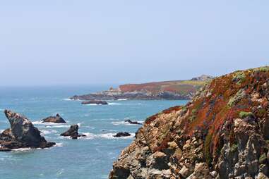 Bodega Bay California