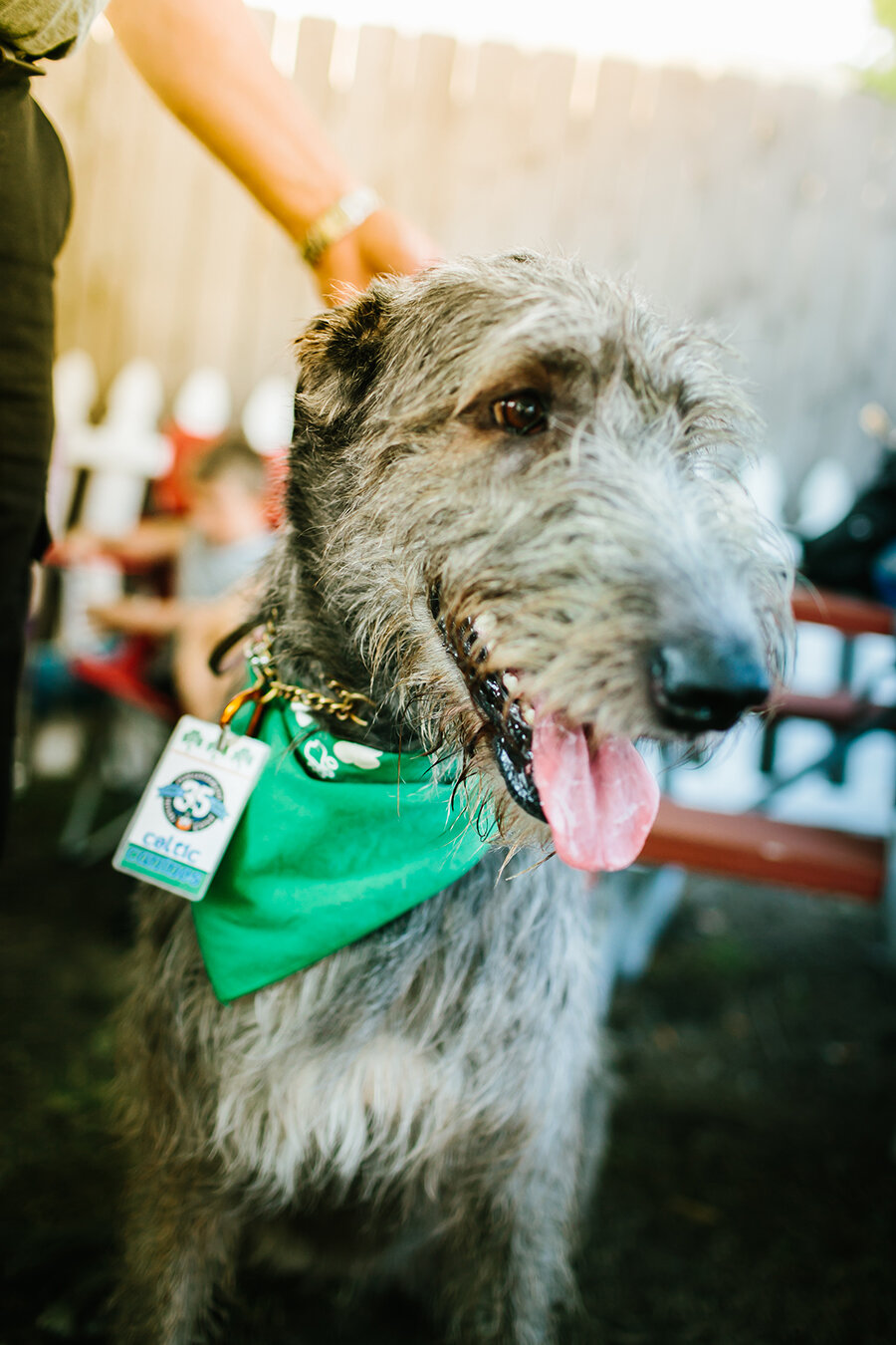 Milwaukee Irish Fest