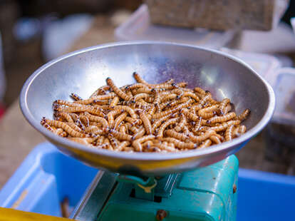 Maggots in Bowl on Table