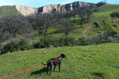 Del Valle Regional Park