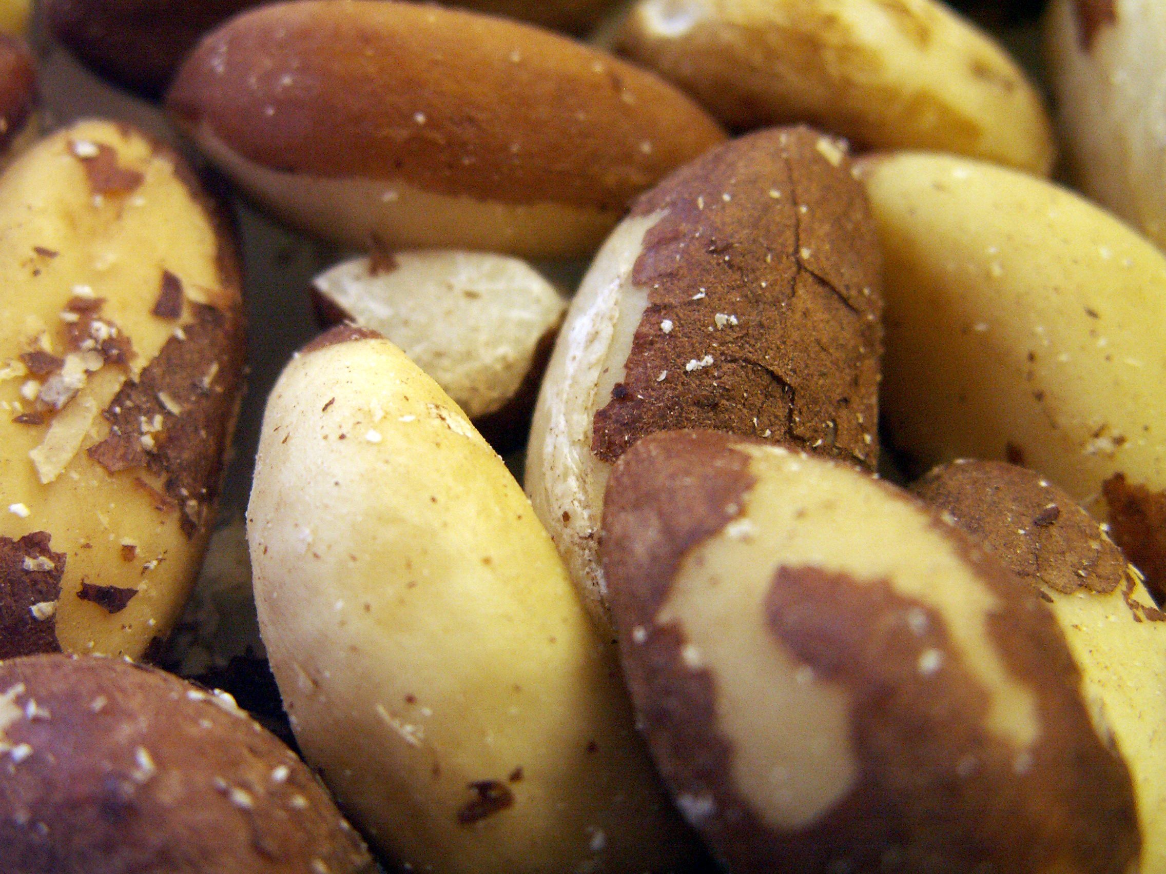 Brazil Nuts