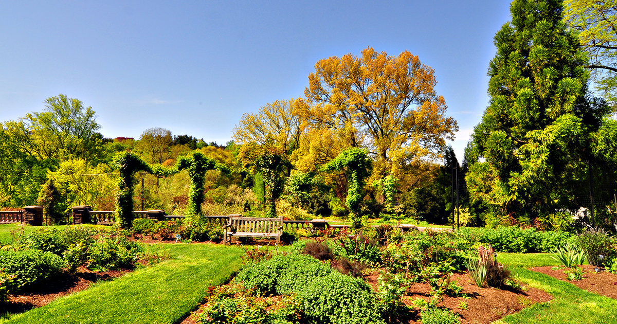 Morris Arboretum: Venue.