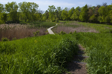 NORTH PARK VILLAGE NATURE CENTER