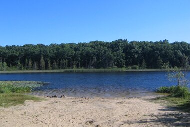 Pinckney Recreation Area