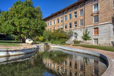 UT Turtle Pond