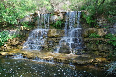 zilker botanical