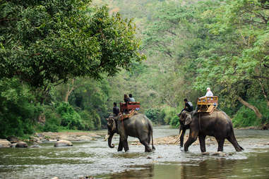 Traveling on elephants