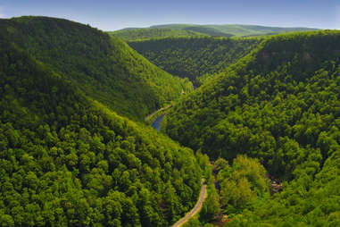 Pine Creek Gorge