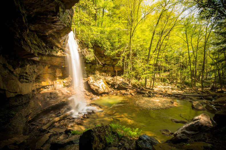 Ohiopyle State Park