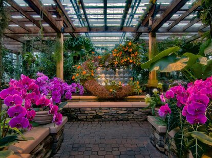 Atlanta Botanical Garden