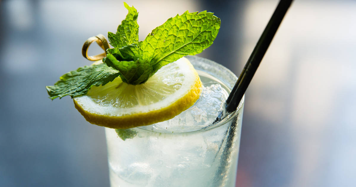 The Best Gin and Tonic Recipe (Is a Stiff One) - Umami Girl