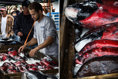 Tuna Harbor Dockside Market